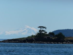 view of the mountains, ocean, and island with tree on it