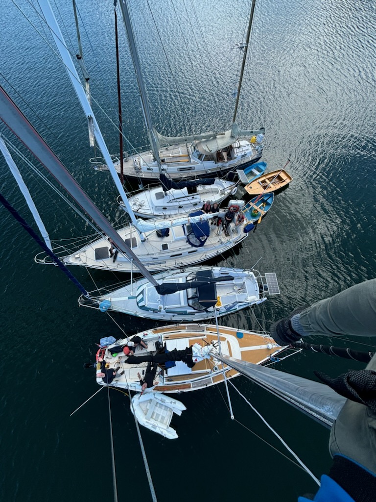 sailboats at dock from a top down view