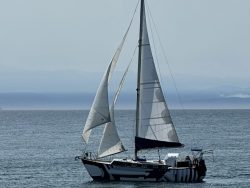 Starlight Sailing